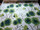 Tissu Harlequin - Kabala - rf: 120348 Gooseberry ( toute laize )