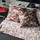 Tissu Casal - Magua - rf: 84027.75 Volcan