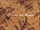 Tissu Jean Paul Gaultier - rf: 3447.05 Terre