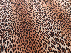 Tissu Boussac - Velours Panthre - rf: O5989.011 Brun