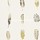 Papier peint Harlequin - Limosa - rf: 111072 Mustard/Charcoal/Stone