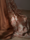 Tissu Jim Thompson - Bonsa� - r�f: J4005.004 Rose