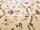 Tissu Braqueni - L'Eglantier - rf: B1755.001 Multicolore