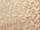 Tissu Dedar - Engram - rf: T19019.005 Cuivre ( dtail )