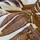 Tissu Larsen - Zo - rf: L9526.02 Spice ( dtail )