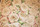 Tissu Pierre Frey - Roses anciennes ( toute laize )