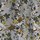 Tissu Jean Paul Gaultier - Mousson - rf: 3437.03 Gold