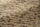 Tissu Pierre Frey - Tibet - rf: F3981.002 Ecorse