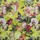 Tissu Jean Paul Gaultier - Botanique - rf: 3459.02 Pollen