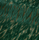 Tissu Misia - Monsieur Gustave - rf: M443.505 Vert Empire