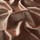 Tissu Jab - Alison - rf: 9-7517-010