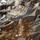 Tissu Chivasso - Nostalgia - rf: CH3255.020 ( dtail )
