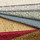 Tissu Quenin - Bosquet