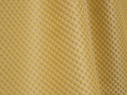 Tissu Quenin - Quadrille - rf: 569.06 Or