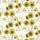 Tissu Harlequin - Kabala - rf: 120347 Zest