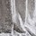 Tissu Morris & Co - Pure Ceiling Embroidery