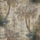 Tissu Pierre Frey - Ubari - rf: F3990.001 Mirage