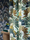 Tissu Pierre Frey - L'Arbre du Voyageur - rf: F3937.001 Vgtal