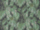 Tissu Pierre Frey - Mareva - rf: F3744.001 Tropicale
