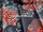 Tissu Quenin - Ronsard - rf: 4263.02 Encre