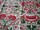 Tissu William Morris - Lodden - rf: 222524 Rose/Thyme ( dtail )