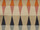 Tissu Harlequin - Ampico - rf: 132093 Tangerine/Sky/Nude ( dtail )