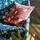 Tissu Morris & Co - Fruit Velvet - rf: 236924 Indigo/Slate