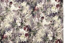Tissu Jean Paul Gaultier - Flower Power - rf: 3497.01 Pastel