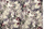 Tissu Jean Paul Gaultier - Flower Power - rf: 3497.01 Pastel