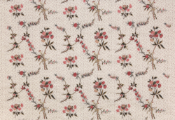 Tissu Braqueni - Broderie Champeigne - rf: B7562.001 Parme