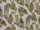 Tissu Jim Thompson - Feuilles d'Arum - rf: J3963.002 Silver down