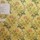 Tissu Chane Ducrocq - Fontenay - rf: 3151.8522 Or