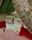 Tissu Manuel Canovas - Jalore - rf: M4187.01 Prairie