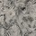 Tissu Jean Paul Gaultier - Komodo - rf: 3433.01 Graphite