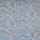 Tissu Manuel Canovas - La Musardire - rf: M4080.05 Bleuet