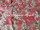 Tissu Jim Thompson - Cat's Pyjamas - rf: J2276.002 Pink