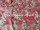 Tissu Jim Thompson - Cat's Pyjamas - rf: J2276.002 Pink ( dtail )