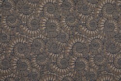 Tissu Lelivre - Ammonite - rf: 3233.04 Bois