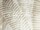 Tissu Casamance - Kristen Garden - rf: 4747.0134 Beige ( dtail )