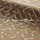 Tissu Misia - Saignon - rf: M304.204 Mordor