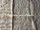 Tissu Pierre Frey - Tasmania - rf: F3021.001 Santal ( dtail )