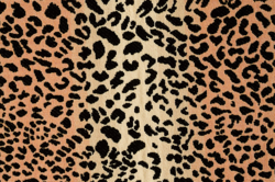 Tissu Le Manach - Gupard Cambridge - rf: L4156.001 Original