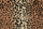 Tissu Le Manach - Gupard Cambridge - rf: L4156.001 Original
