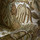Tissu Braqueni - Lisieux - rf: B7648.001 Orpiment ( dtail )