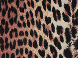 Tissu Boussac - Velours Panthre - rf: O5989.011 Brun ( dtail )