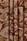 Tissu Lelivre - Terra - rf: 3232.02 Automne