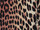 Tissu Boussac - Velours Panthre - rf: O5989.011 Brun ( dtail )