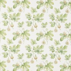 Tissu Sanderson - Fig Harvest - rf: 226329 Jardin vert