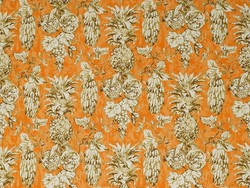 Tissu Jim Thompson - Frutteto - rf: J2383.003 Chocolate Orange