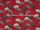 Tissu Sanderson - Dandelion Clocks - rf: DOPNDA201 Red